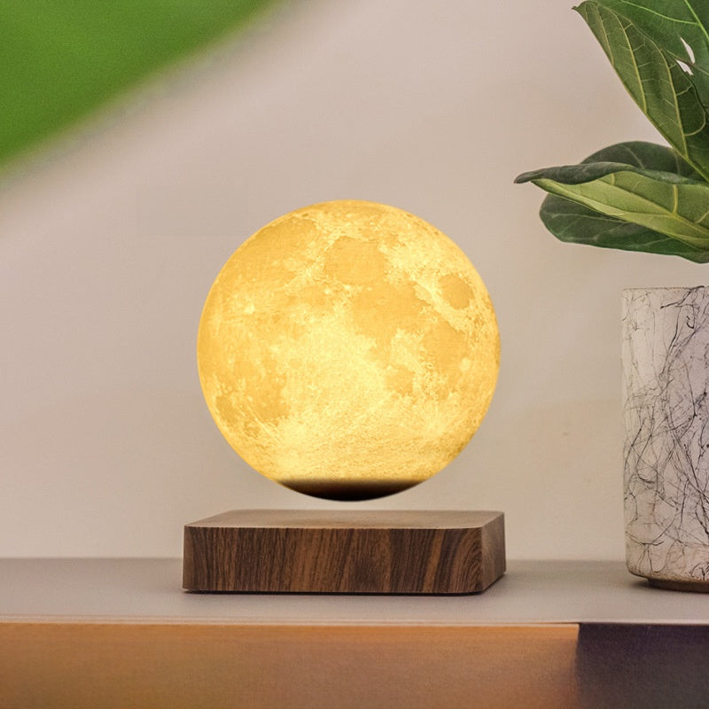 Moon-shaped lamp on a wooden base with a plant in the background