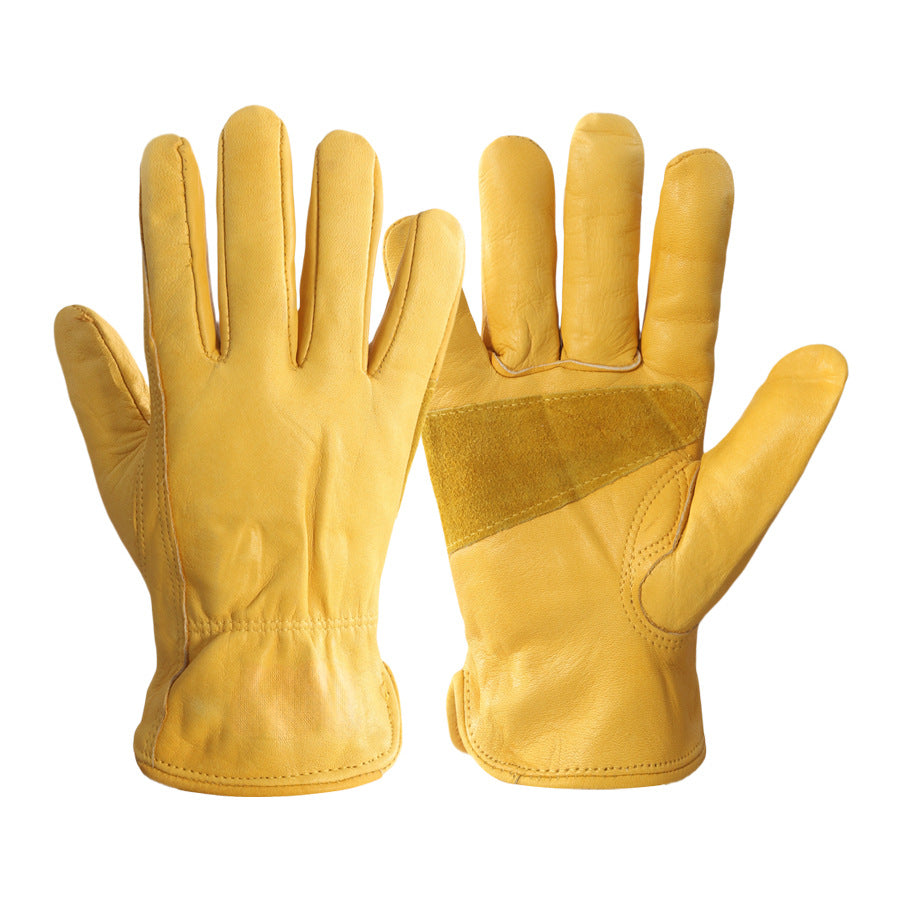 Pair of yellow leather gloves on a white background